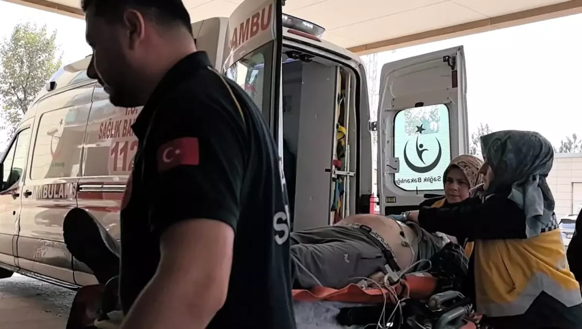 Ceviz Ağacından Düşen Adam Hayatını Kaybetti