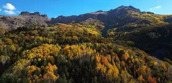 Bayburt'ta Sonbahar Renkleri Doğayı Süsledi