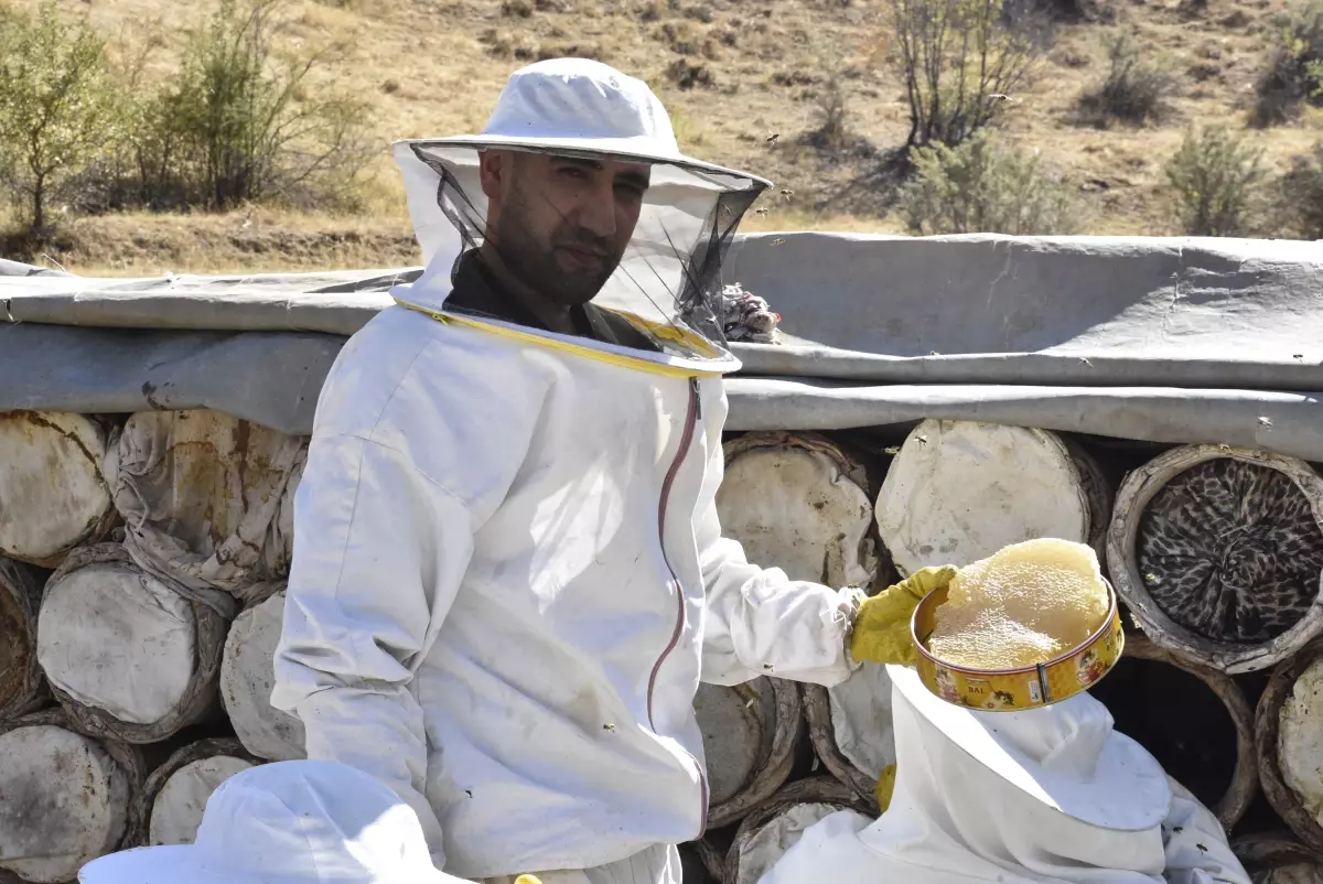 Bitlis'te Kara Kovan Balı Hasadı Başladı