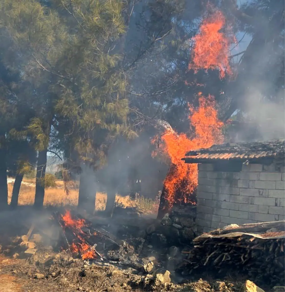 Burdur'da Odunlukta Yangın Çıktı, İtfaiye Müdahale Etti