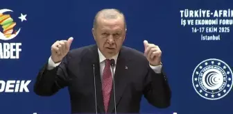 Cumhurbaşkanı Erdoğan, Afrikalılara Nazım Hikmet'in dizeleriyle seslendi