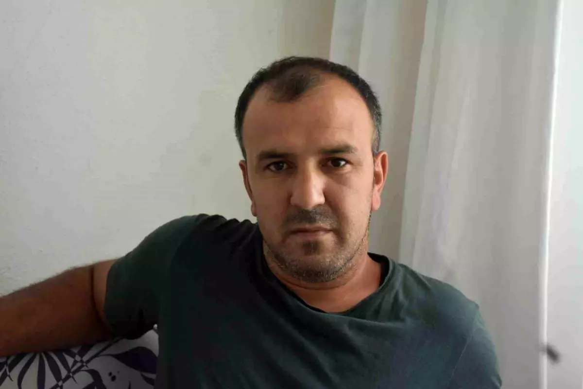 Ayı Saldırısına Uğrayan Kestane Toplayıcısı Yaralandı