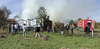 Eflani'de Yangın: 36 Arı Kovanı Zarar Gördü