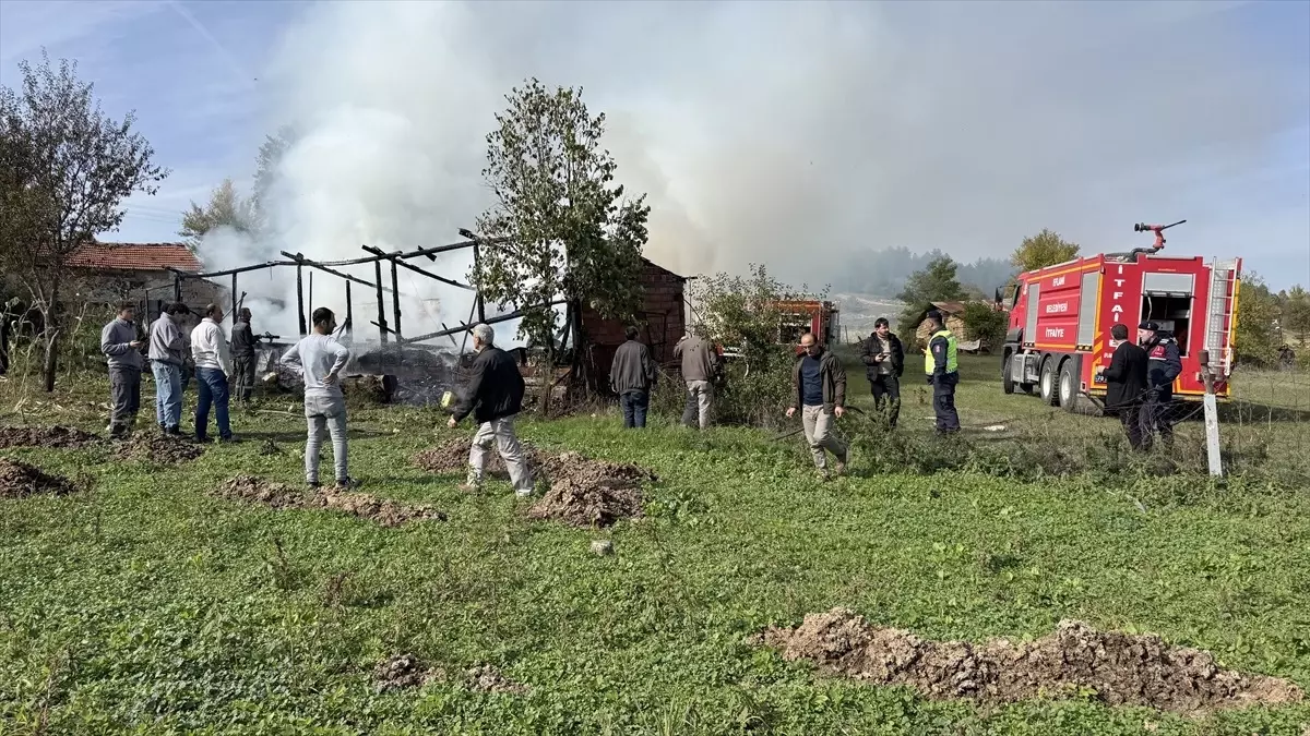 Eflani'de Yangın: 36 Arı Kovanı Zarar Gördü