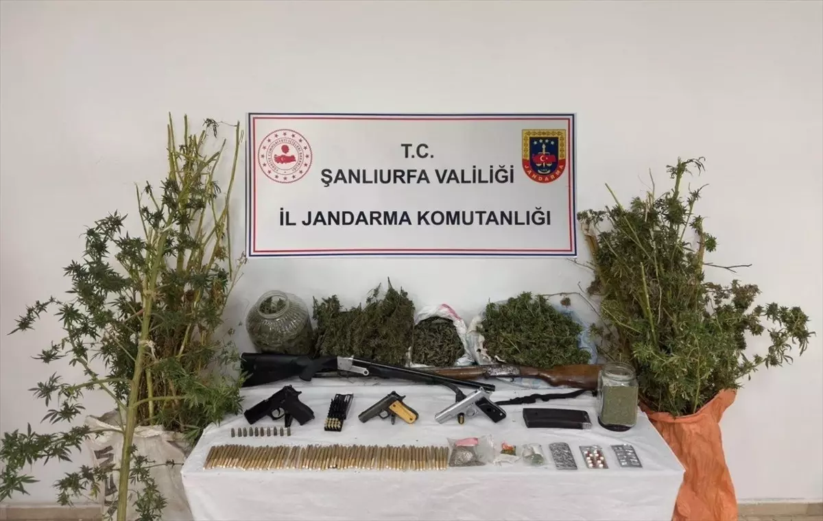 Şanlıurfa'da Uyuşturucu ve Silah Kaçakçılığı Operasyonu: 3 Gözaltı