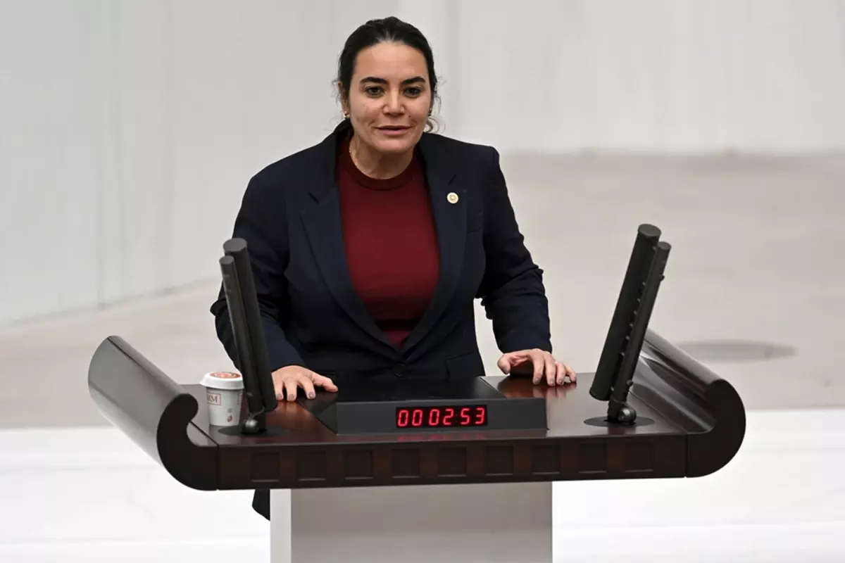İYİ Partili Türkeş, Kurtulmuş'un Kürtçe konuşmasına tahammül edemedi! Yaptığı çağrı skandal