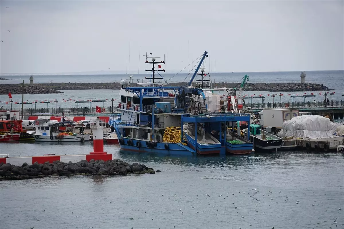 Tekirdağlı Balıkçılar Poyraz Nedeniyle 2 Gün Ava Çıkamadı