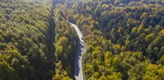 Bolu'nun Ormanları Sonbahar Renkleriyle Büyülüyor