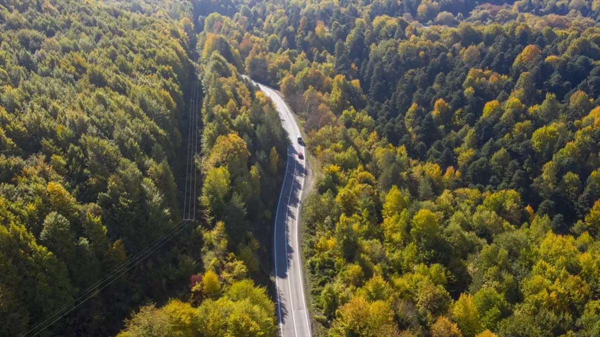 Bolu'nun Ormanları Sonbahar Renkleriyle Büyülüyor