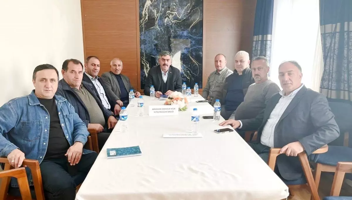 Ardahan Damızlık Sığır Yetiştiricileri Birliği'nde Üye Sayısı 4172'ye Ulaştı