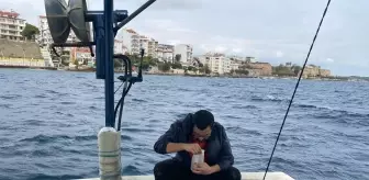 Kastamonu Üniversitesi'nden Marmara Denizi Araştırması