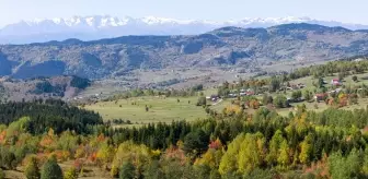 Artvin'in Sakin Şehri Şavşat, Sonbaharda Renk Cümbüşü Sunuyor