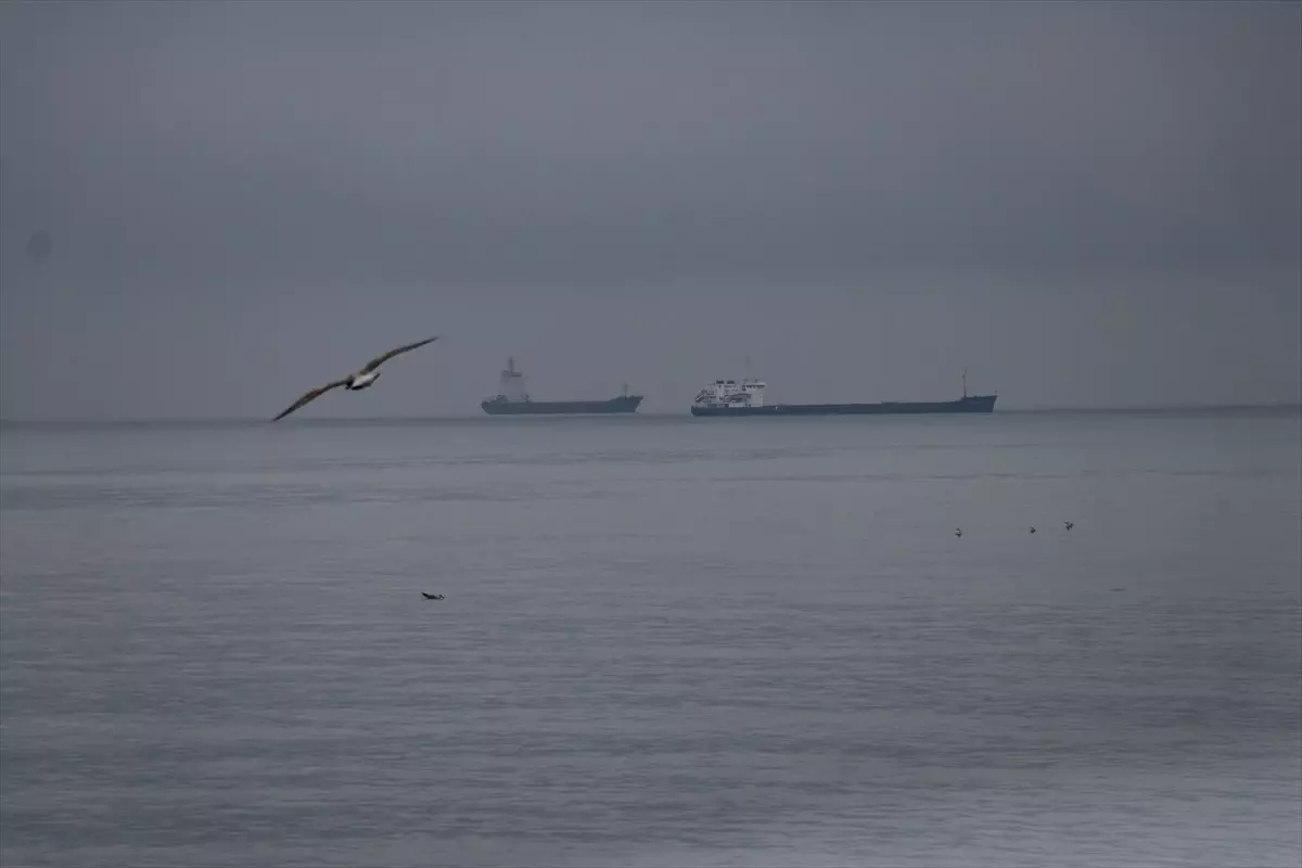 Tekirdağ'da Poyraz Etkisini Yitirdi, Deniz Ulaşımı Normale Döndü