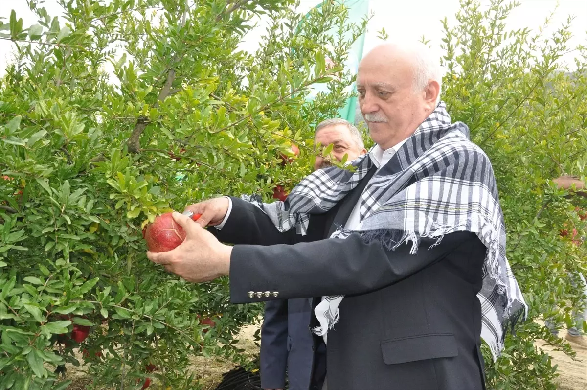 Üreticilerin Sorunlarına Dikkat Çeken TZOB Başkanı Bayraktar, İzmir'de Hasat Yaptı