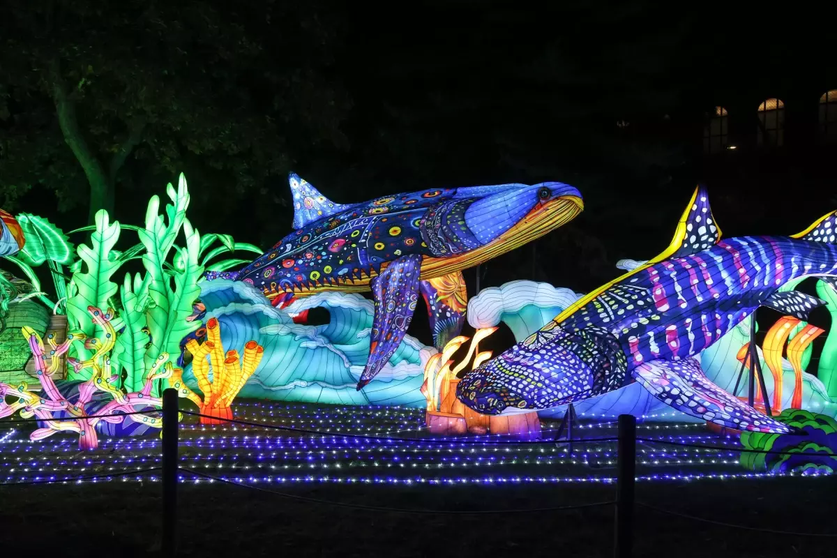 Budapeşte'de Dünya Hayvanları Çin Fener Festivali Yoğun İlgi Gördü