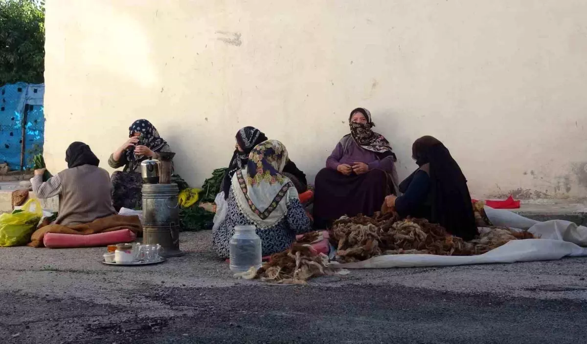 Bayburt'ta Kadınlar İmece Usulüyle Kış Hazırlığı Yapıyor