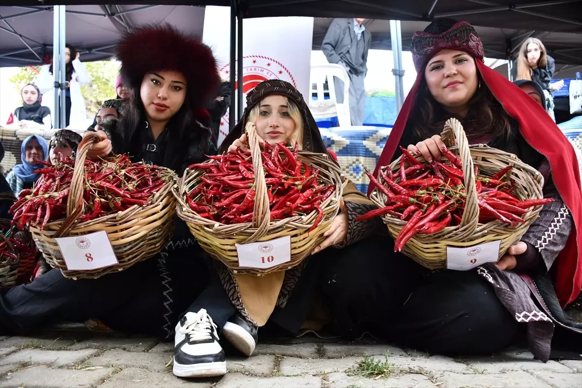 Bilecik'te Çukurören Biberi Festivali Coşkuyla Gerçekleştirildi