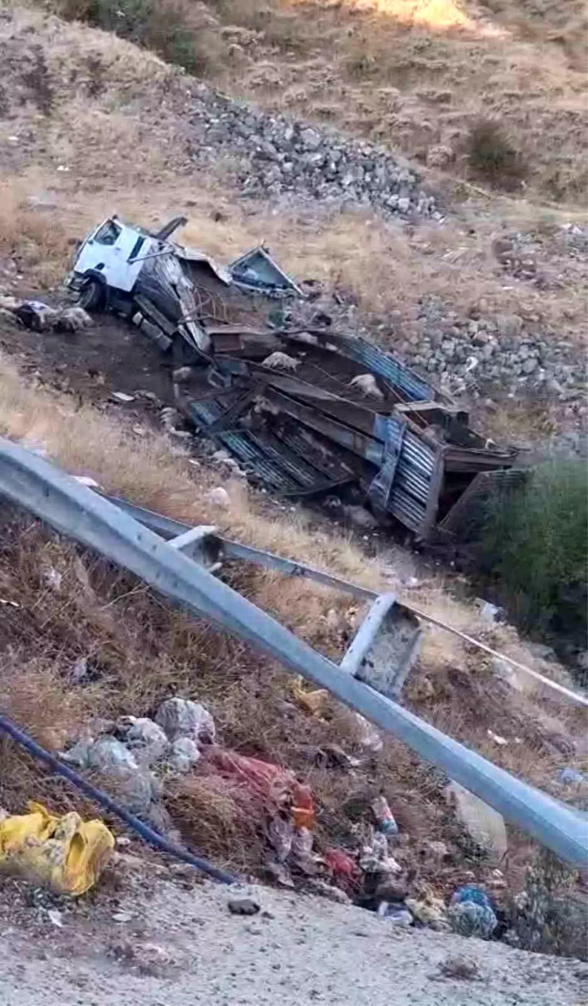 Bingöl'de Kamyon Kazası: 2 Yaralı, Çok Sayıda Hayvan Telef Oldu