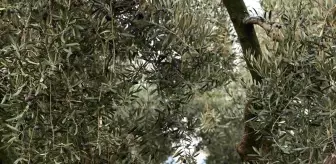 Cargill'in '1000 Çiftçi 1000 Bereket' programı yedinci yılında