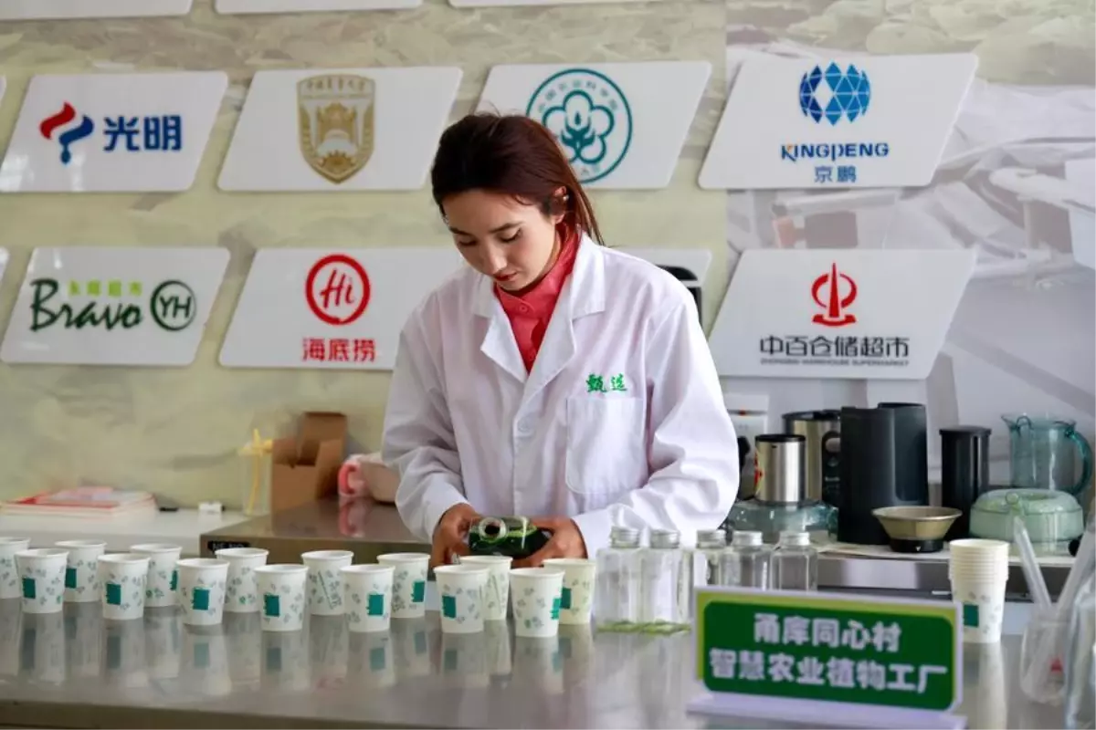 Xinjiang Uygur Özerk Bölgesi Yatırımlarda İvme Kazandı