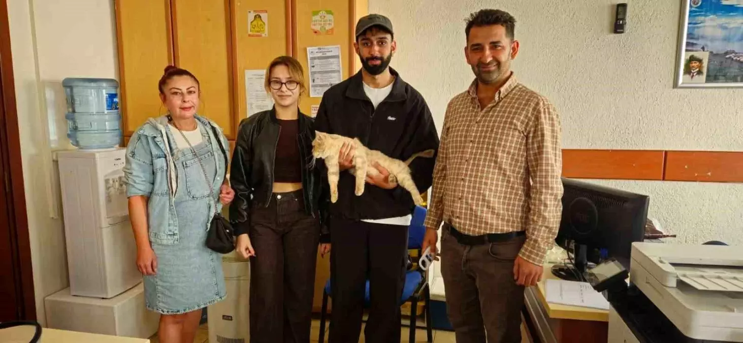 Kaybolan Kedi Mikroçip Sayesinde Sahibine Kavuştu