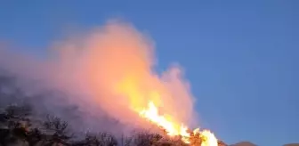 Bitlis'te Anız Yangını Kontrol Altına Alındı