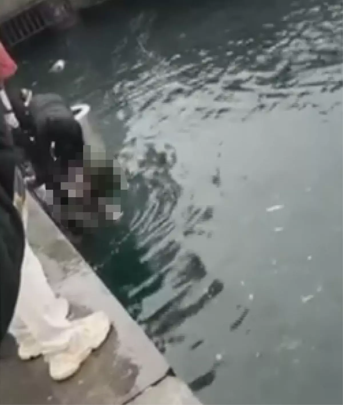 Kadıköy'de 4 engelli kişi denize düştü: 1 ölü 3 yaralı