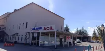 Kahramanmaraş'ta arı sokması sonucu 9 yaşındaki kız çocuğu hayatını kaybetti