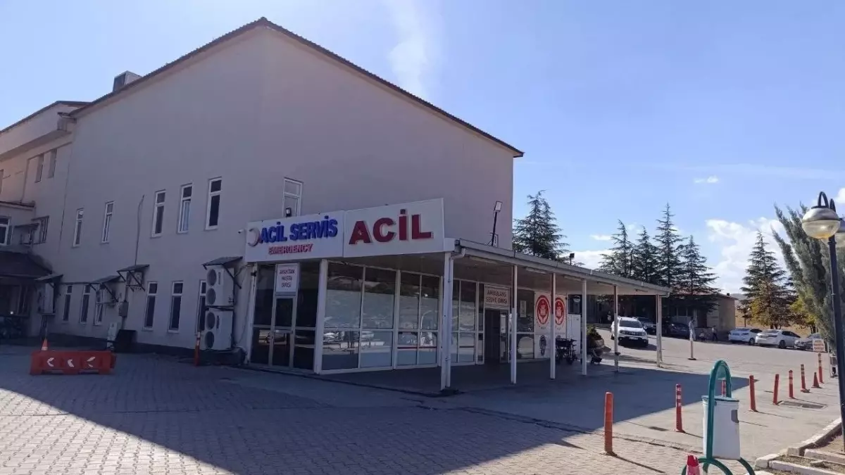 Kahramanmaraş'ta arı sokması sonucu 9 yaşındaki kız çocuğu hayatını kaybetti