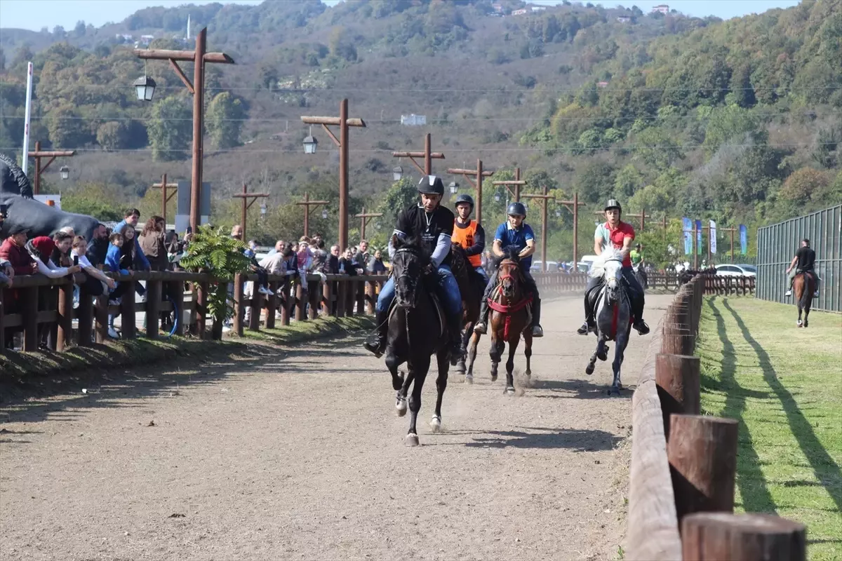 Cumhuriyet Kupası Rahvan At Yarışları, Ünye'de Coşkuyla Kutlandı