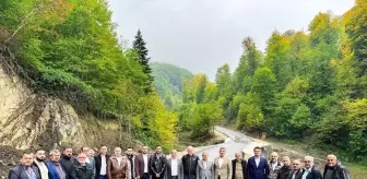 AK Parti Milletvekili Maviş, Çatak Köyü Grup Yolunu İnceledi