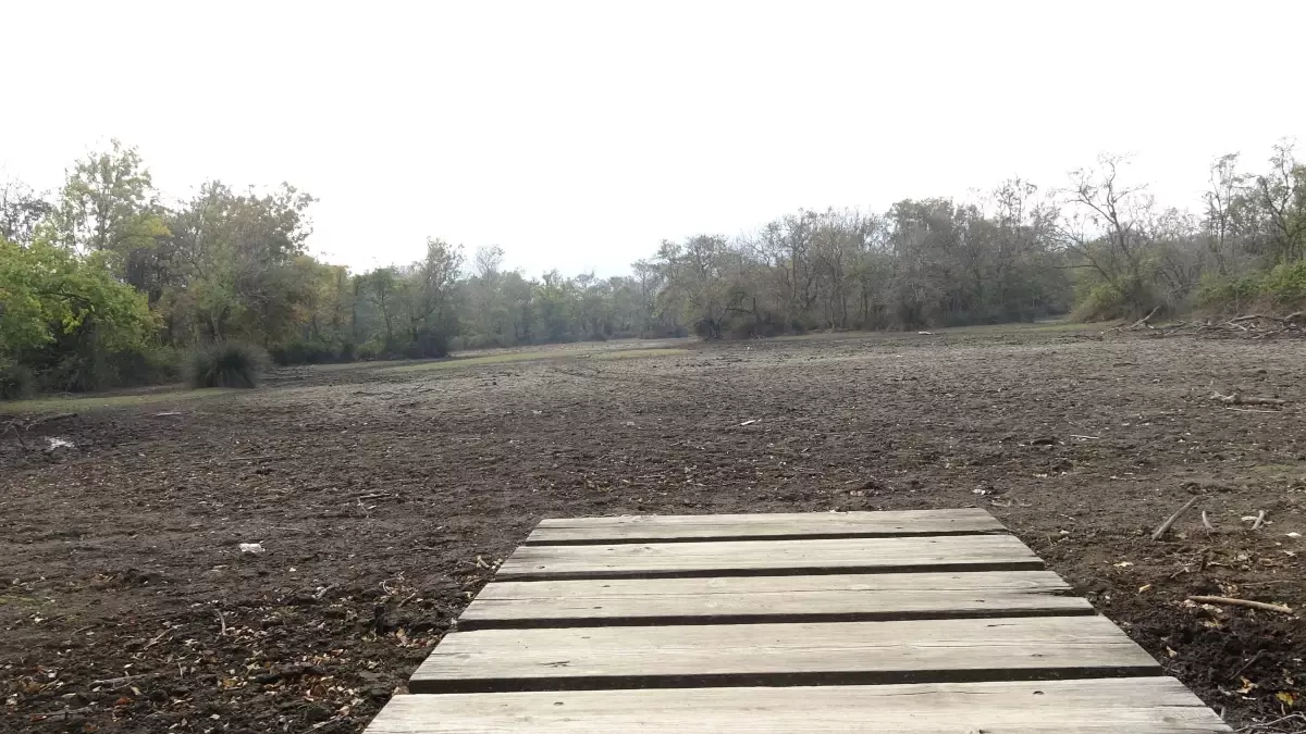 Türkiye'nin 3'üncü büyük longozu da kurudu