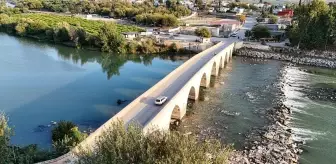 Ceyhan Nehri'nde Balık Ölümleri Üzerine İnceleme Başlatıldı