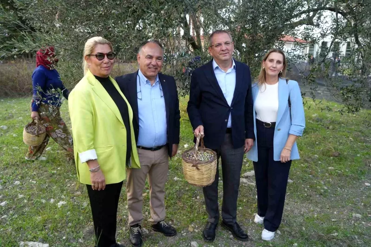 Ayvalık Ticaret Odası, Zeytin Hasadı ve İhracat Hedeflerini Açıkladı