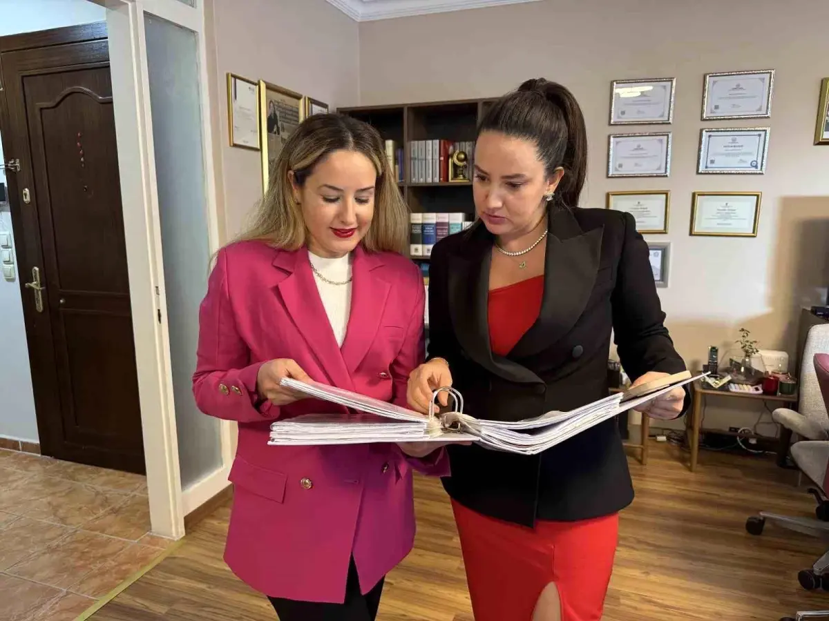 İstanbul'da Boşanma Davası Kedilerin Velayeti Üzerinden Anlaşmaya Varıldı