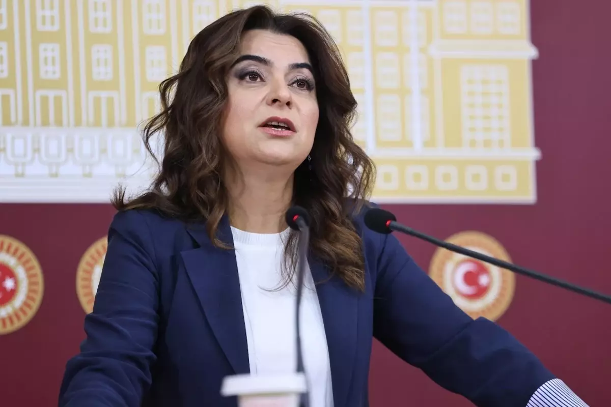 DEM Parti Irak, Suriye ve Lübnan tezkelerine 'Hayır' oyu verecek