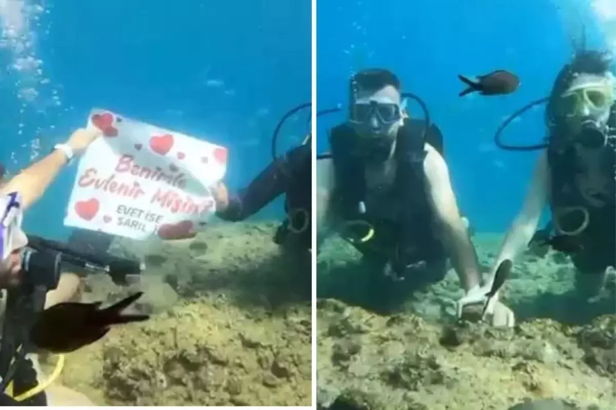 Denizin altında sürpriz teklif! Büyük şaşkınlık yaşadı