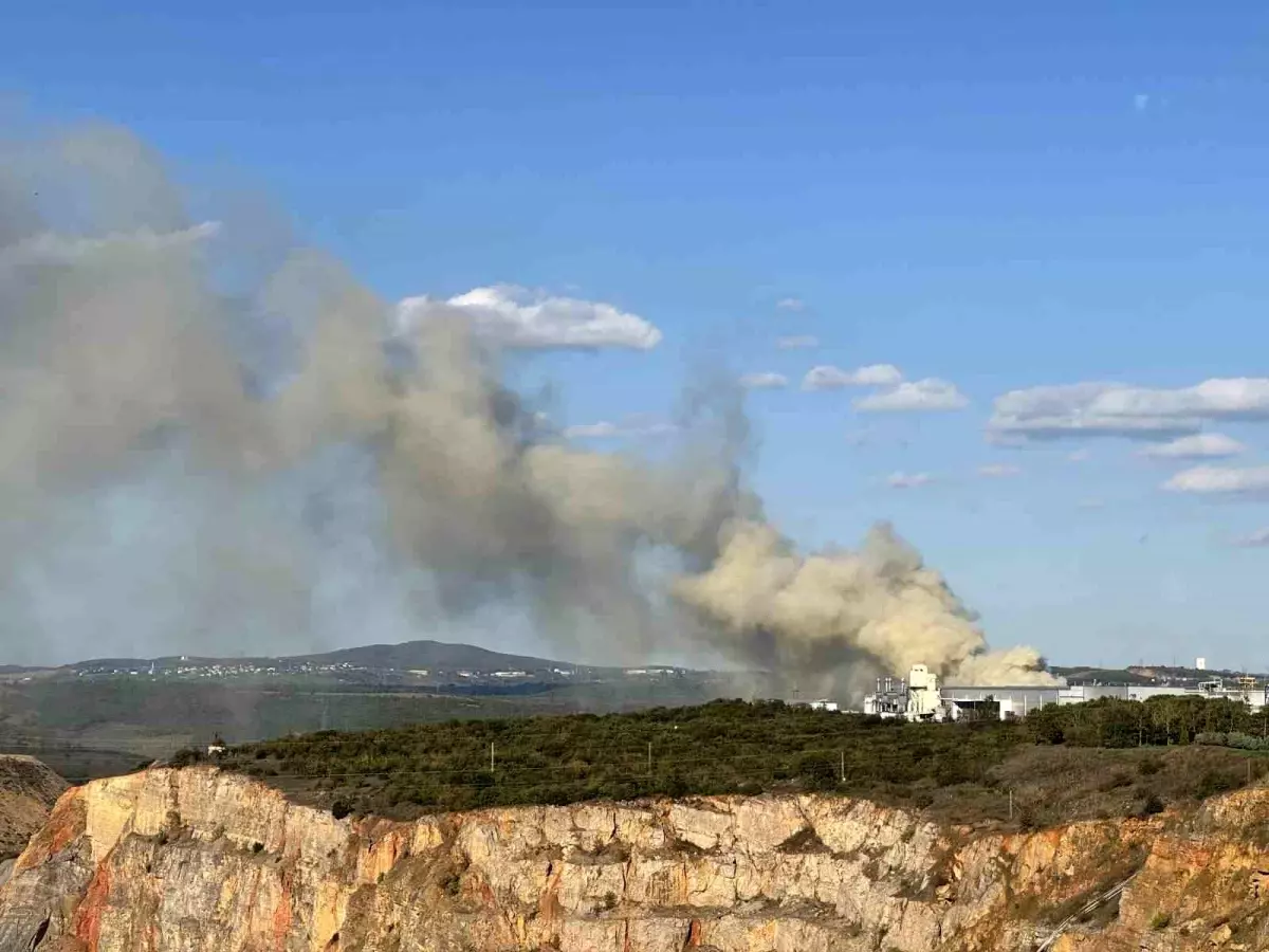 Kocaeli'de Ahşap Fabrikasında Yangın Kontrol Altına Alındı