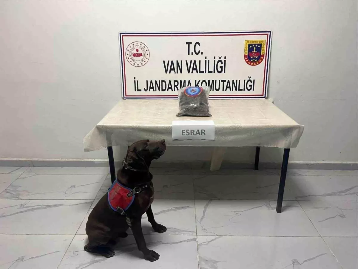 Yüksekova'da Jandarma Operasyonu: 999 Gram Kubar Esrar Ele Geçirildi