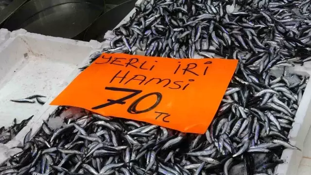 hamsi 70 liraya dustu vatandas sevincten cig 4 19167499 o