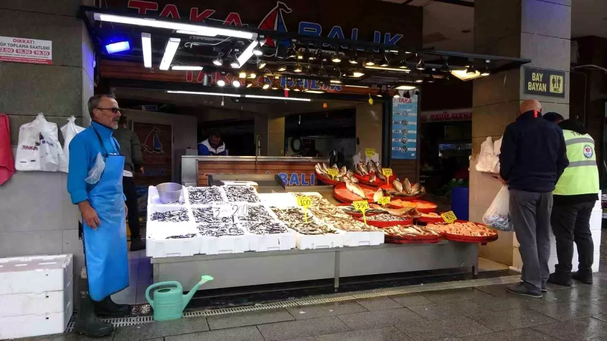 Karadeniz'de Hamsi Bolluğu ve Uygun Fiyatlar