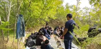 İzmir'de 66 Düzensiz Göçmen Yakalandı, 29'U Kurtarıldı