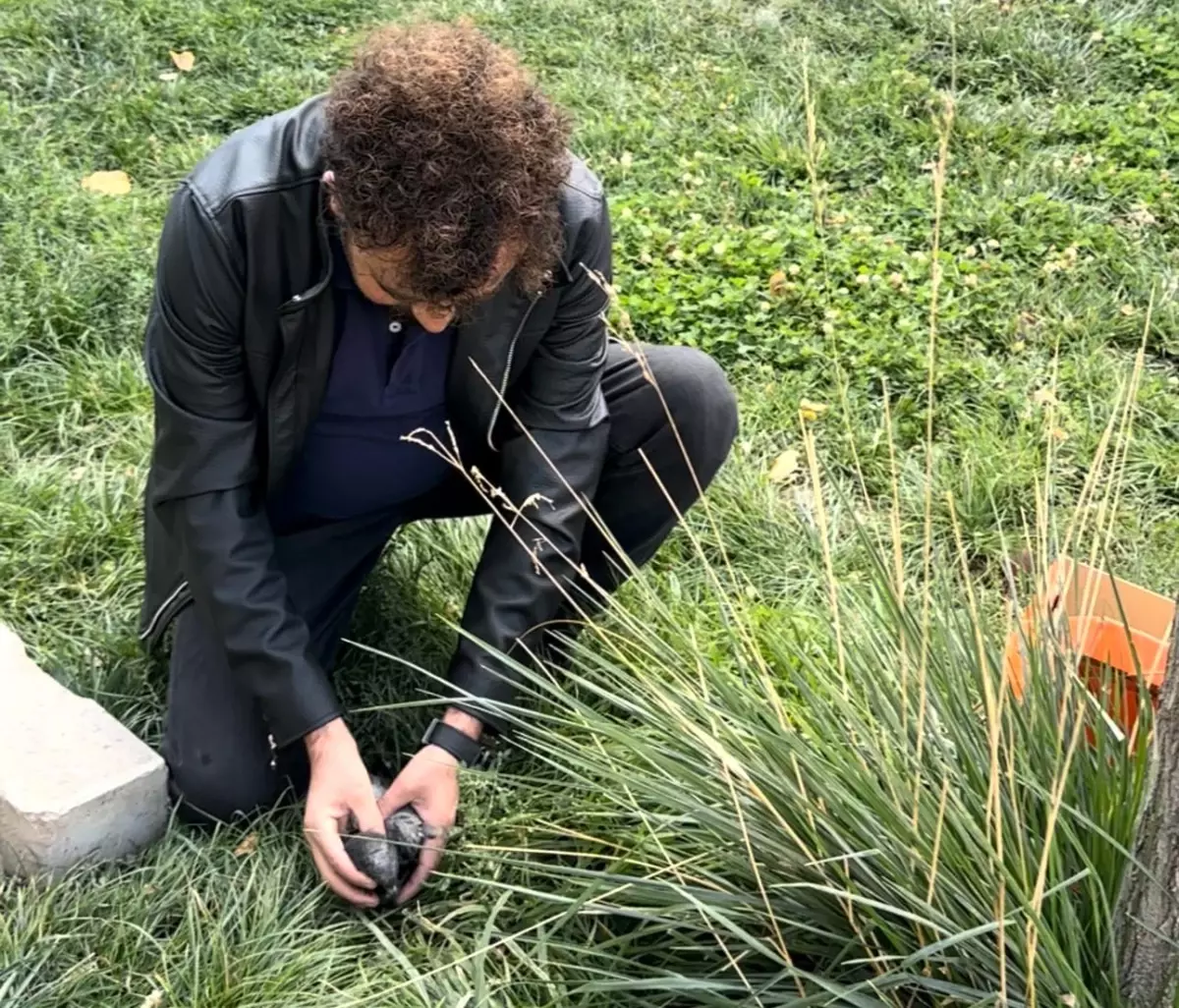 Öğretmen Ümit Bartın, Yaralı Güvercini Kurtardı