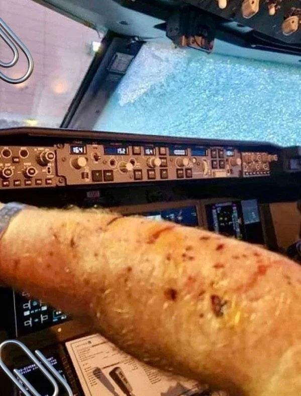 A meteor struck the passenger plane, the pilot was left covered in blood
