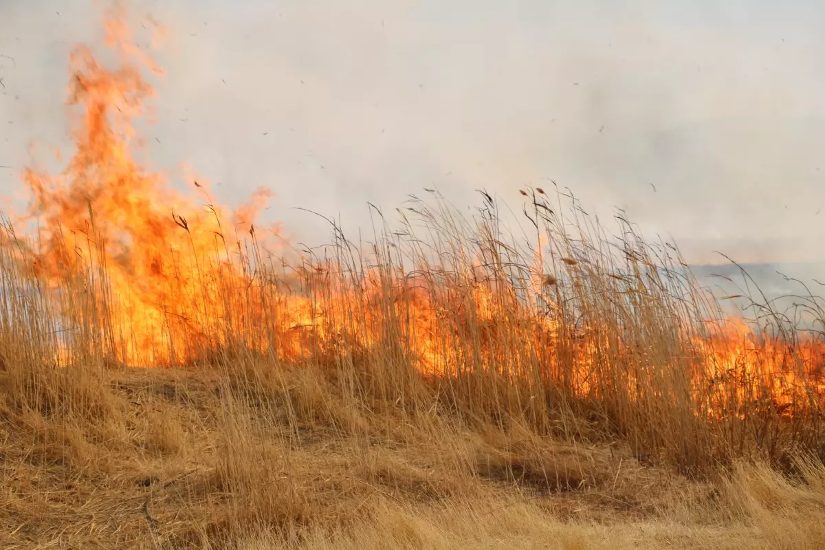 Hakkari'de Nehil Sazlığı'nda Yangın Çıktı