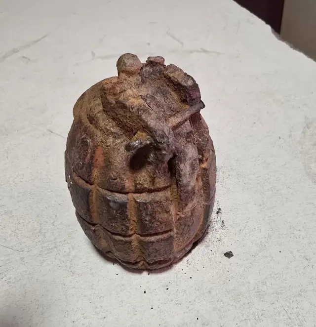 The 10-year-old child found it in the field, special teams in alarm