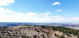 Yozgat'ta 'Ak Çam Konaklamalı Orman Parkı' Projesi Başladı