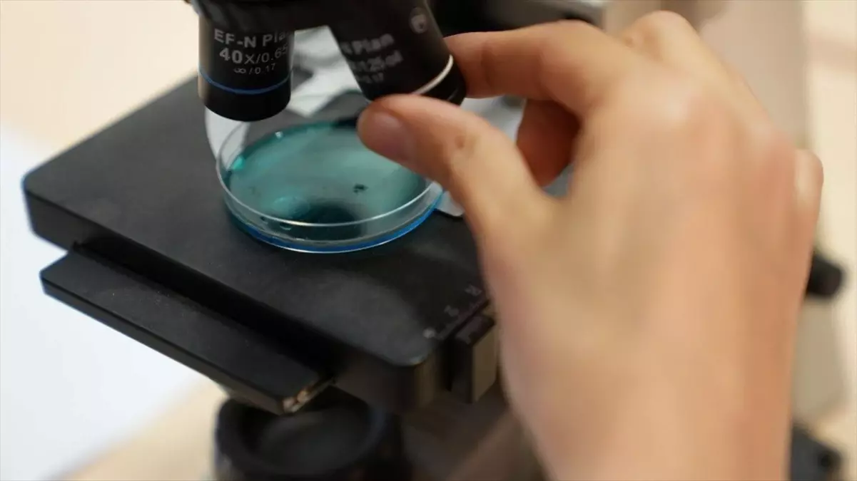 Karabük Üniversitesi'nde Toprak Faunası Araştırması