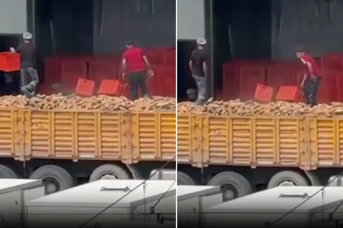 Belediyeye ait fırında infial yaratan görüntü