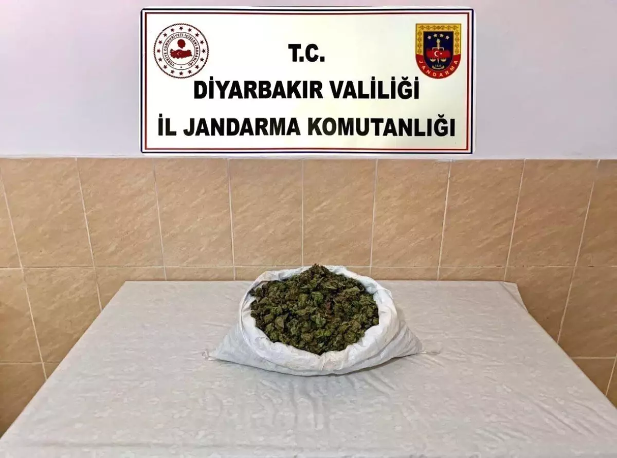 Diyarbakır'da Uyuşturucu Operasyonu: 29 Kg Esrar ve 13 Kg Skunk Ele Geçirildi